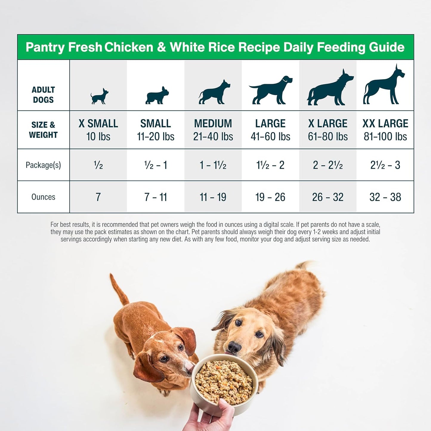 JustFoodForDogs Pantry Fresh Wet Dog Food, Complete Meal or Dog Food Topper, Chicken & White Rice Human Grade Dog Food Recipe - 12.5 oz (Pack of 12)