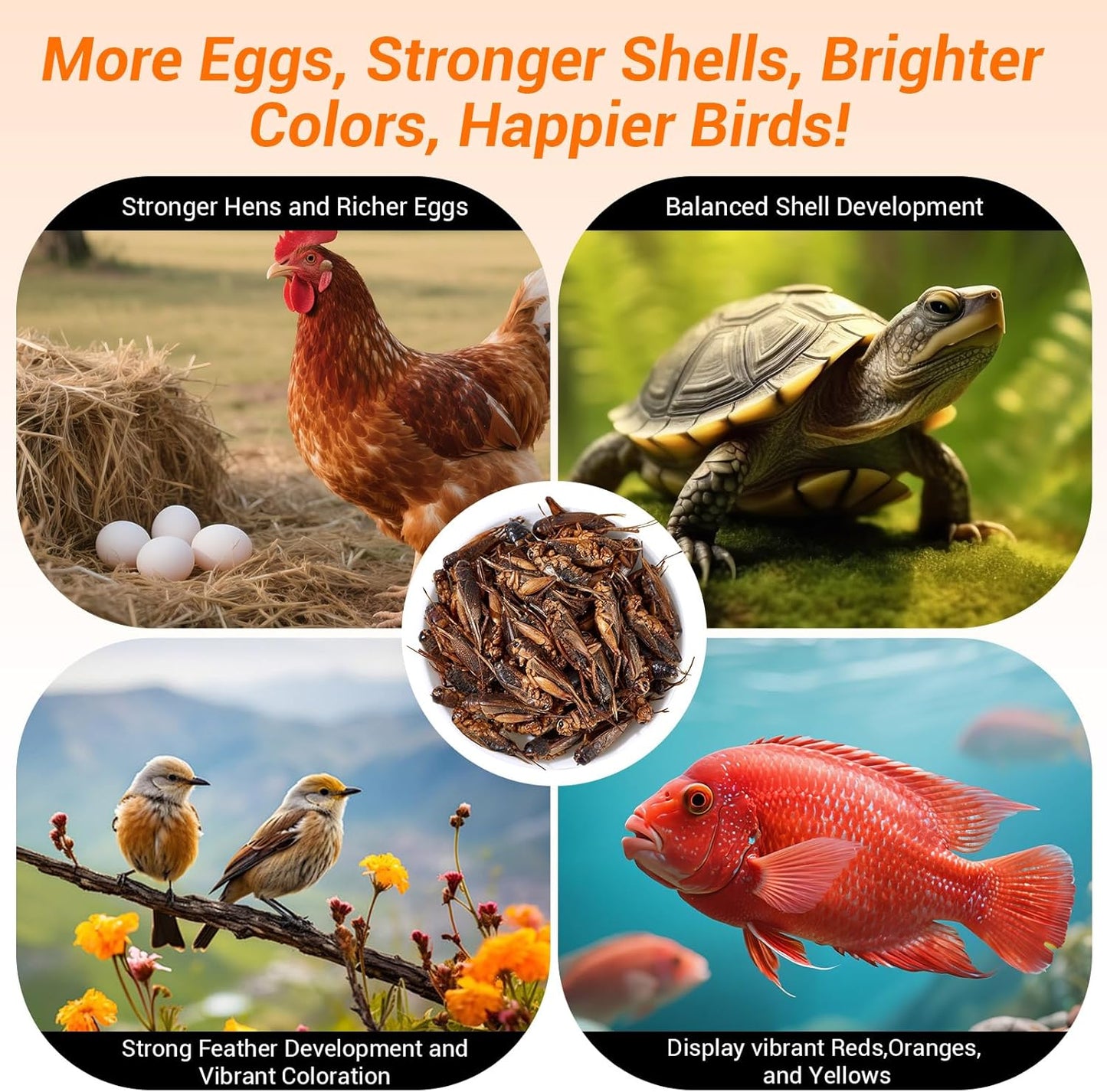 Dried Crickets 1 lb for Chickens, Wild Birds, Hedgehogs, Reptiles, Lizards, Bearded Dragons, Fish, Turtles - High Protein Natural Insect Food Resealable Bag