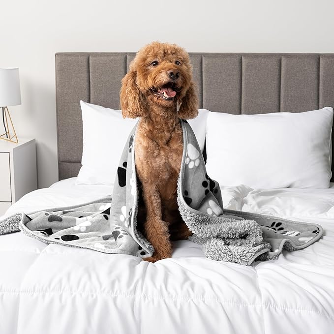 PetAmi Waterproof Dog Blanket for Medium & Large Dogs, Reversible Pee Proof for Puppy & Cat, Soft Washable Dog Crate Cover, 60x80 Gray