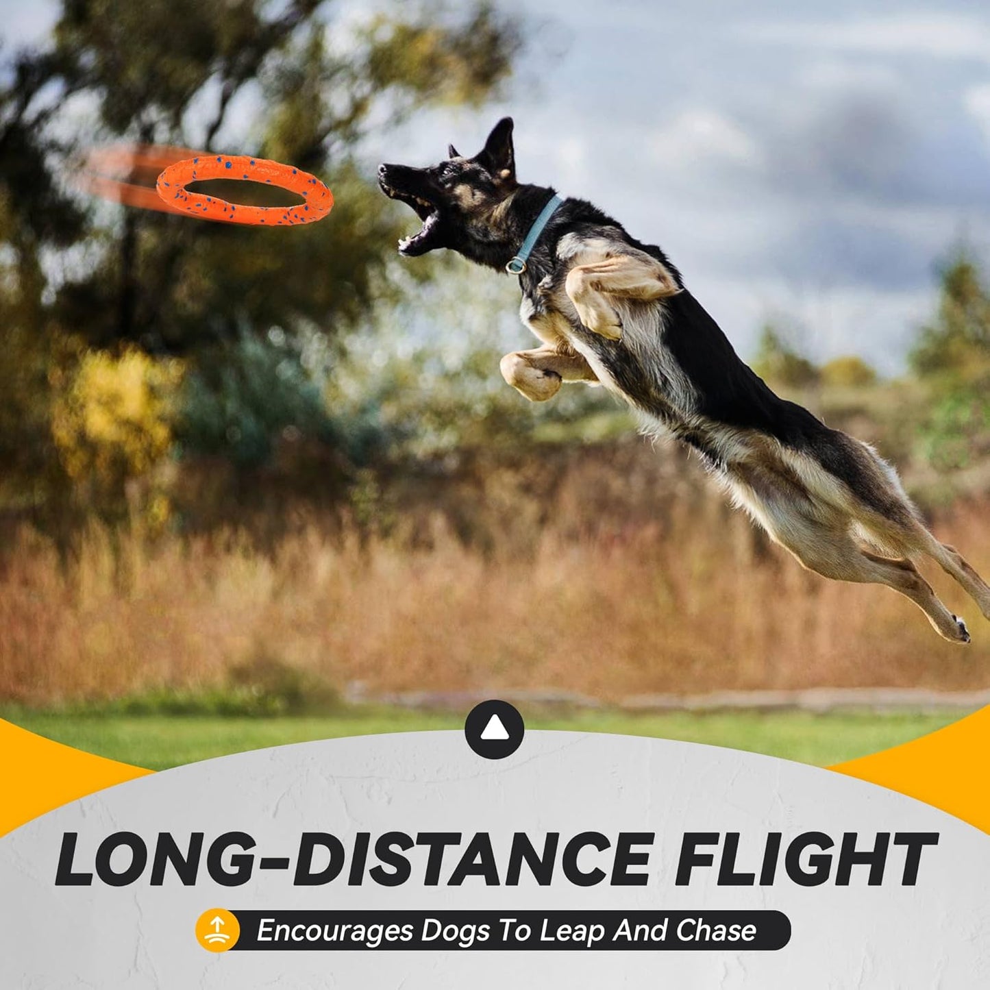 Dog Ring Toy, Indestructible Flying Discs for Throwing Catching, Water Floating Dog Training Ring for Medium Large Breeds (Orange - φ9 inches)