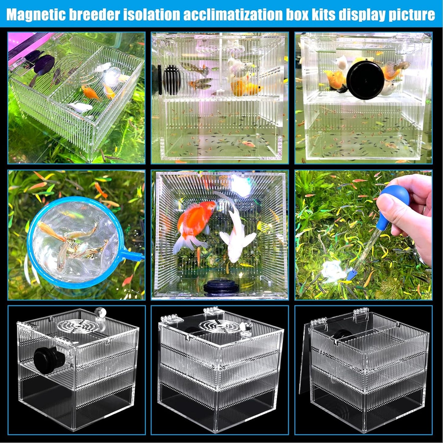 Magnetic Fish Breeder Box for Isolation Boxes (4.71 Inch with 2 Divider（Sealed Bottom Version）)