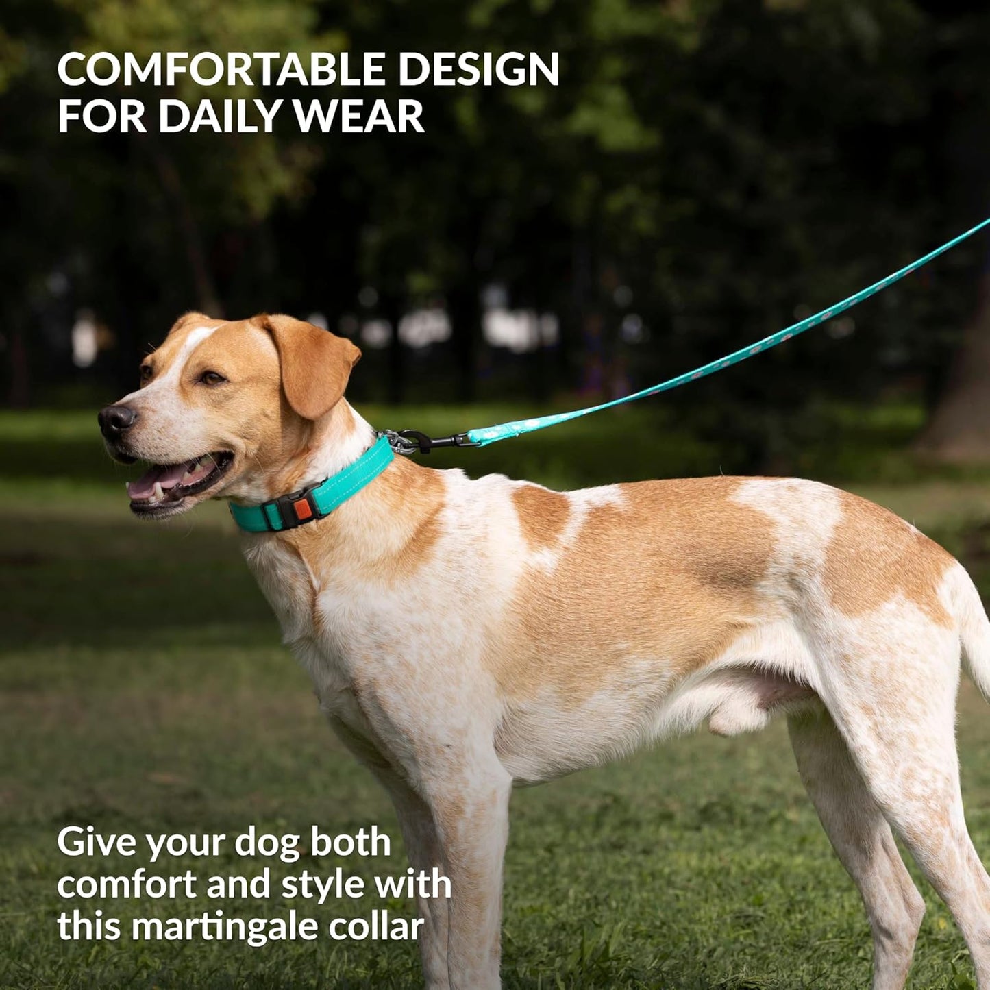 CollarDirect Martingale Dog Collar with Stainless Steel Chain and Quick Release Buckle - Reflective Collar for Large, Medium, Small Dogs - Mint Green, Small (Neck Size 12"-15")