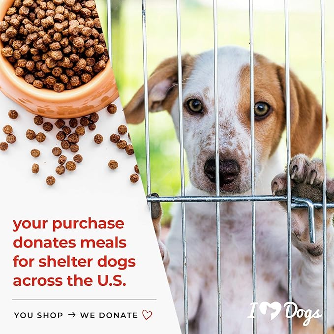 iHeartDogs Allergy & Itch Relief for Dogs with Salmon Oil, Quercetin, Colostrum, Antioxidants and Probiotics - 90 Count