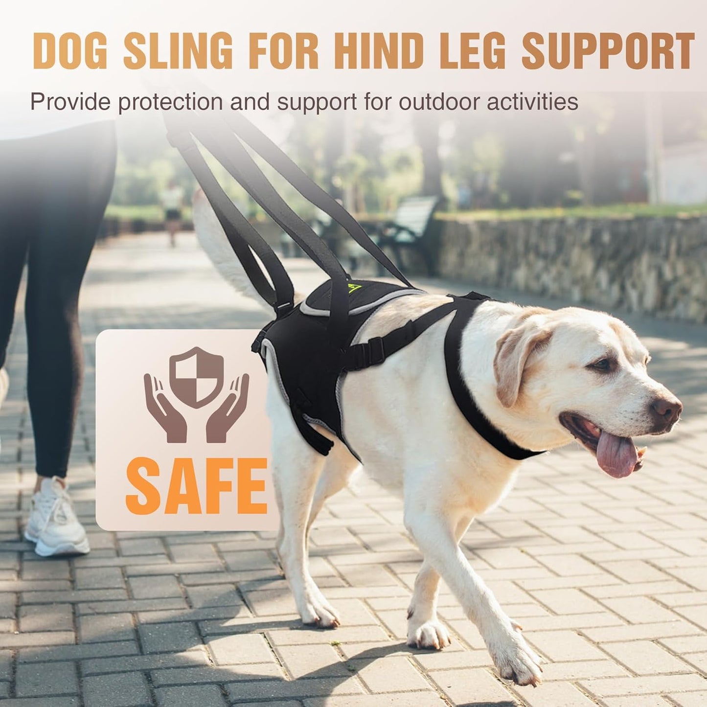 Dog Lift Harness for Small Dog Hind Legs, Adjustable Dog Slings for Small Dogs for Hip Dysplasia, Arthritis, Hind Leg Disability and Post-Surgery Recovery, Provides Support and Promotes Recovery- S