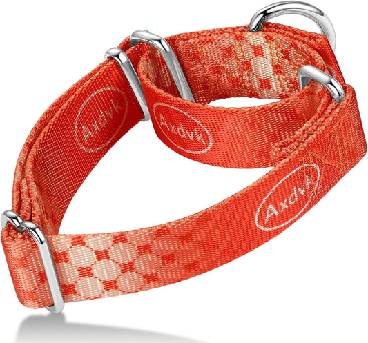 Martingale Dog Collar Colorful Gradient Fashionable - Anti-Escape Soft Durable Pets Collar for Walking Training Outdoor Daily Use -Small,Aurora Fire