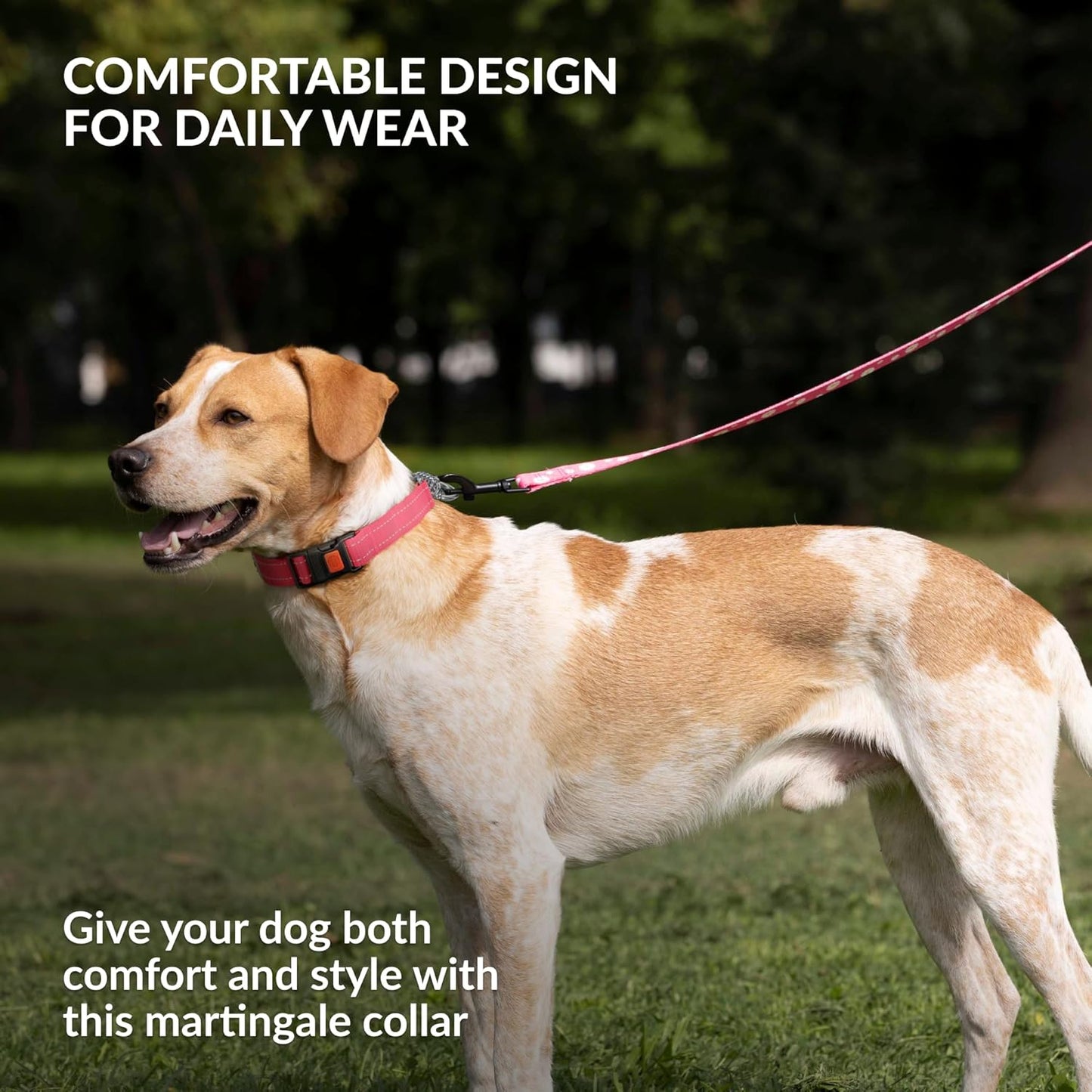 CollarDirect Martingale Dog Collar with Stainless Steel Chain and Quick Release Buckle - Reflective Collar for Large, Medium, Small Dogs - Pink, Medium (Neck Size 14"-17")