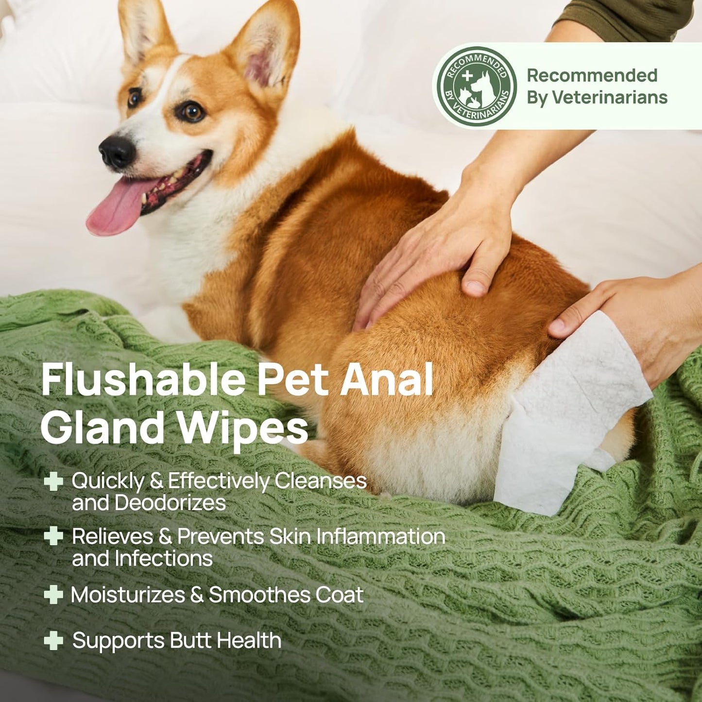 HICC PET Wipes for Dogs & Cats, Vet Recommended Cleansing Deodorizing & Soothing Allergy Infections Anal Gland Wipes with Coconut Oil, Dog Wipes for Cleaning Butt Paw, Remove Small Animal Coat Stain