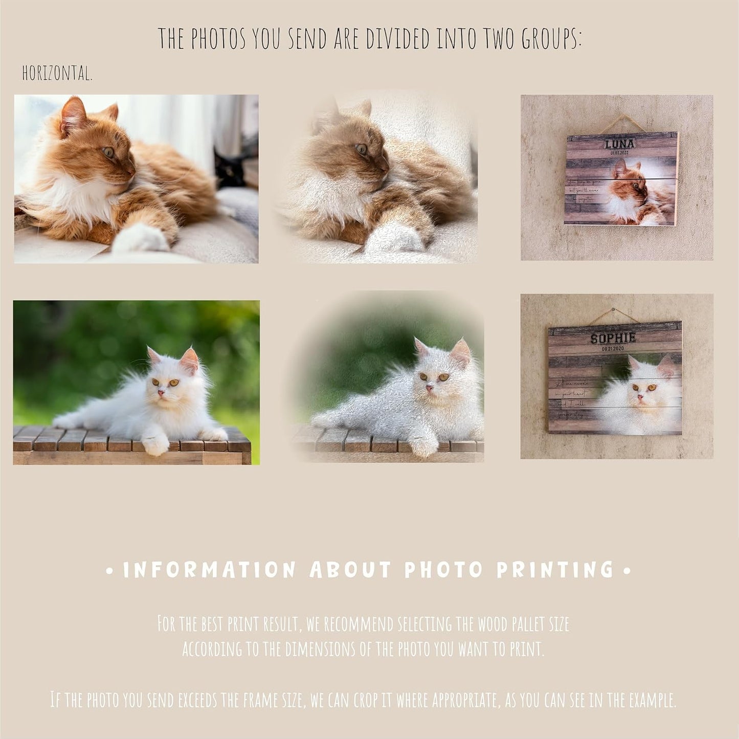 Custom Pet Memorial Night Light Gift Personalized Cat Acrylic Plaque Photo Frame Sympathy Gift Condolence Gifts with Picture Name (Cat Memorial)