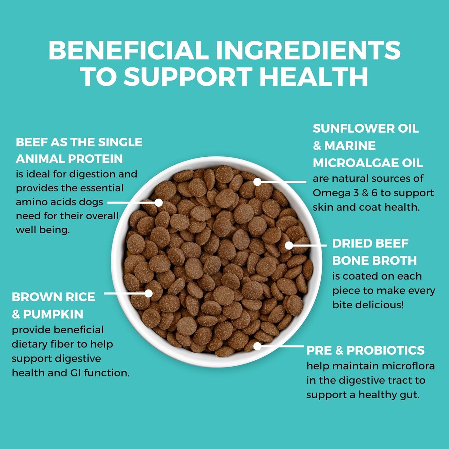 KOHA Limited Ingredient Bland Diet Dry Food for Dogs - Beef & Brown Rice Recipe, Sensitive Stomach Dog Food - Pumpkin for Digestive Support, 20 lbs