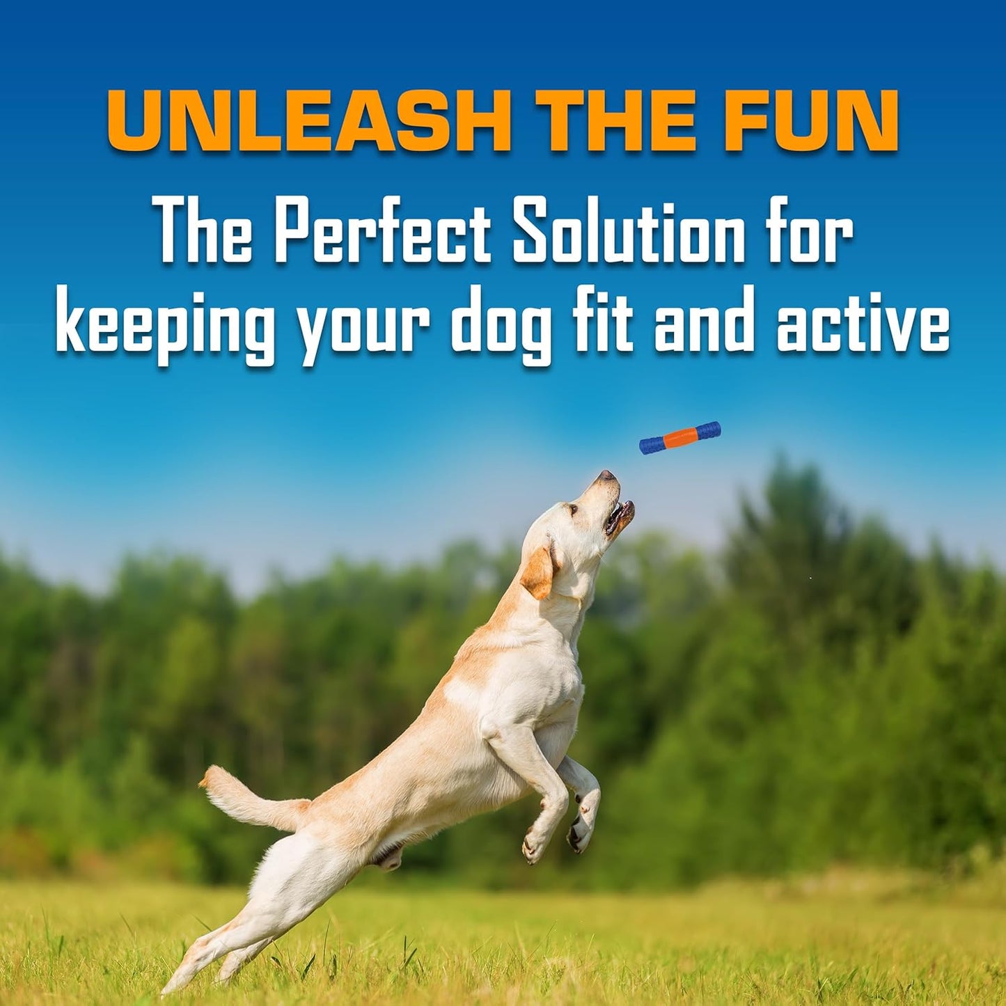 Nerf Dog Exo Squeak Stick Outdoor Dog Toy, 8 Inch Squeaking Puppy Toy for Puppies and Small Dogs, Blue/Orange