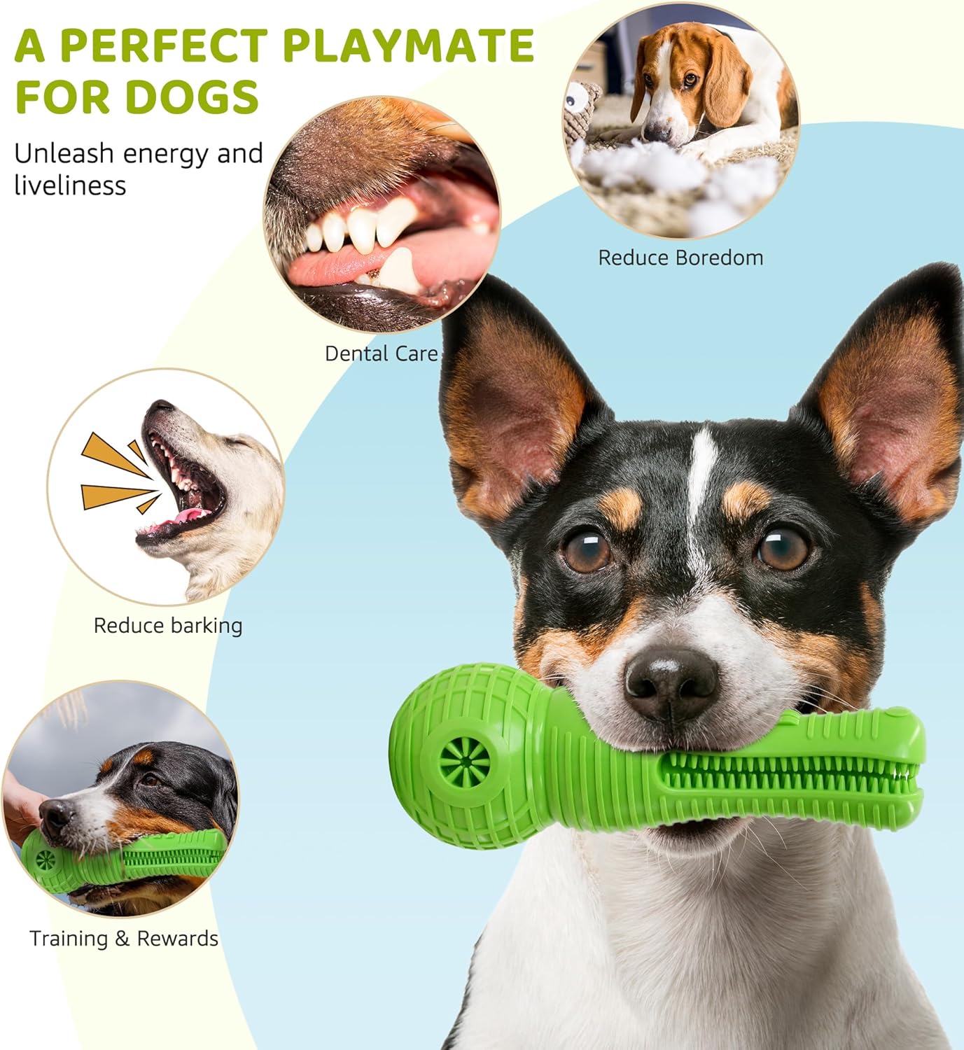 Dog Chew Toy for Aggressive Chewers, Durable Natural Rubber Squeaky Alligator Interactive Dog Toy, Long-Lasting Dental Care Tooth Cleaning for Medium Large Dogs and Teething Puppies (Green)