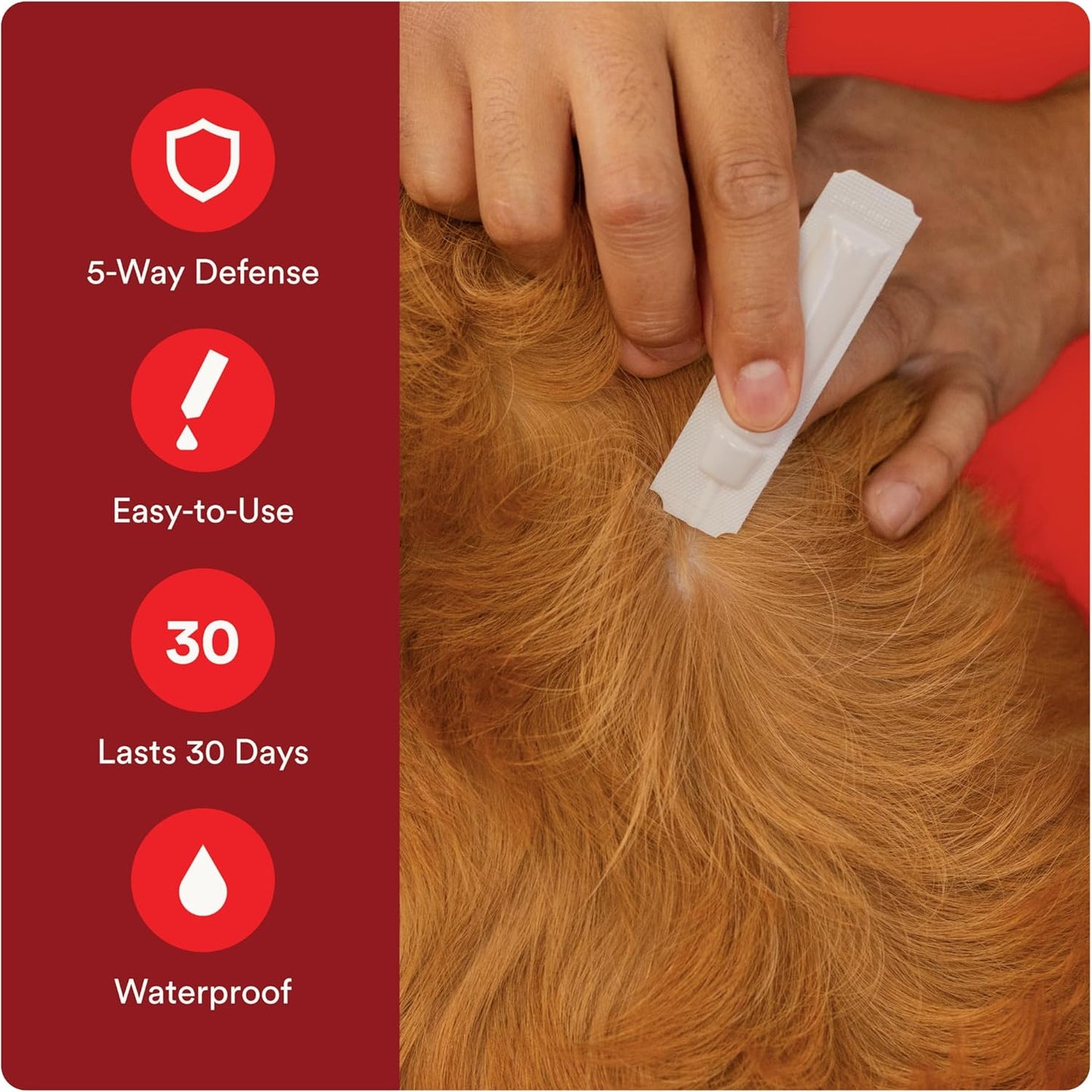 Advecta Ultra Flea and Tick Prevention for Dogs - Dog and Puppy Treatment and Control - Mosquito Repellent - Large, Fast Acting Waterproof Topical Drops, 2 Month Supply