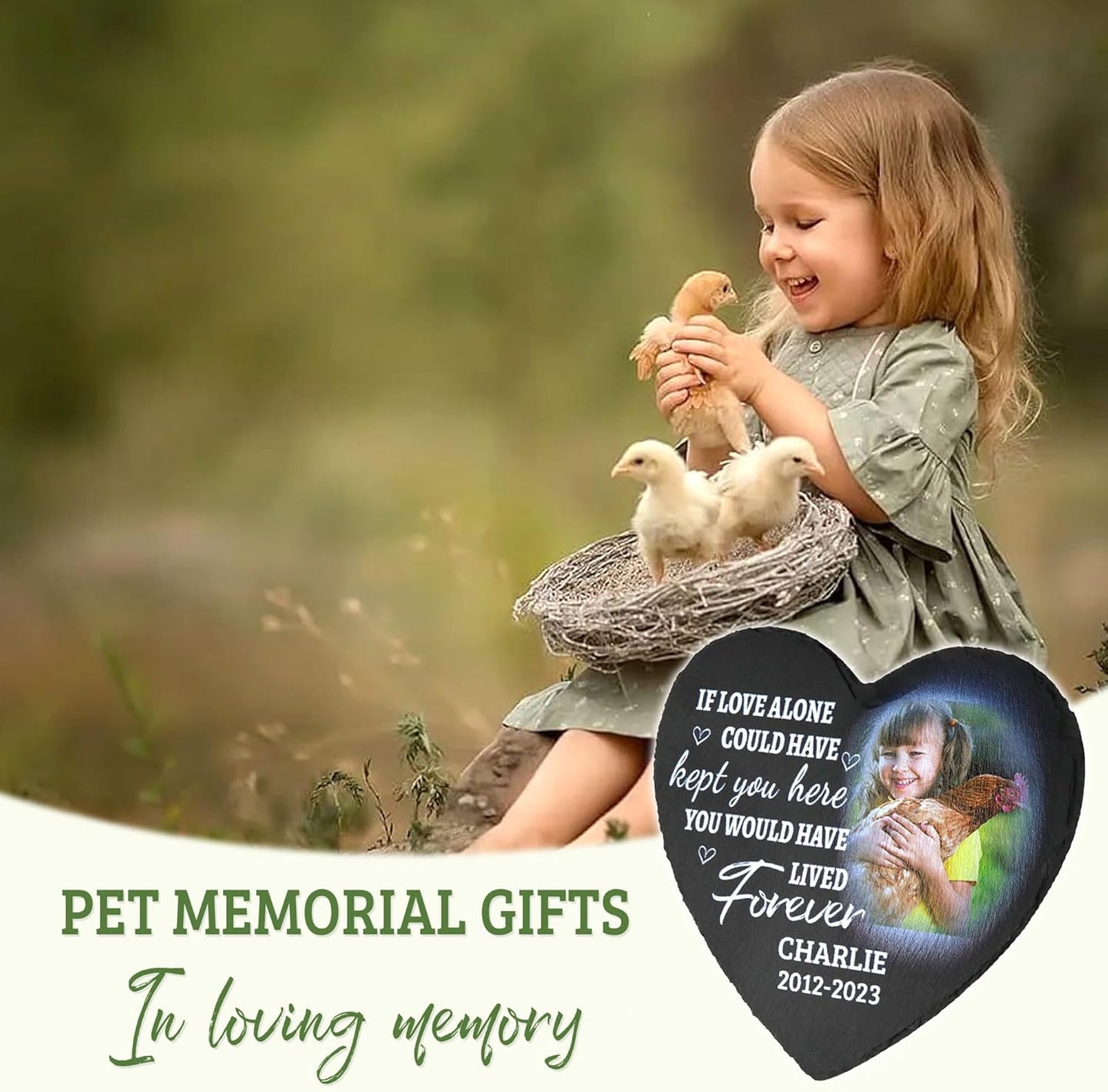 ODB Gifts for Loss of Chicken, Chicken Memorial Stone, Chicken Memorial Gifts, Chicken Loss Gifts, Chicken Head Stones, Cock Grave Marker, Gifts for Cock Lovers (Chicken)