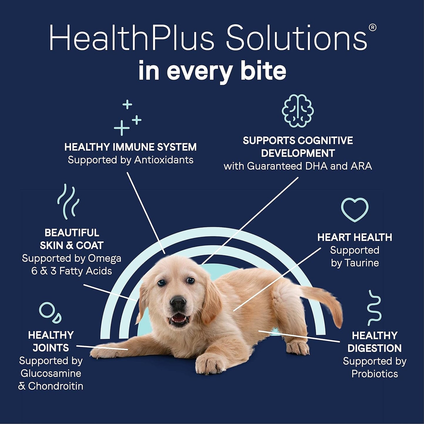 Canidae Pure Limited Ingredient Premium Puppy Dry Dog Food, Real Chicken, Lentil & Whole Egg Recipe, 12 lbs, Grain Free