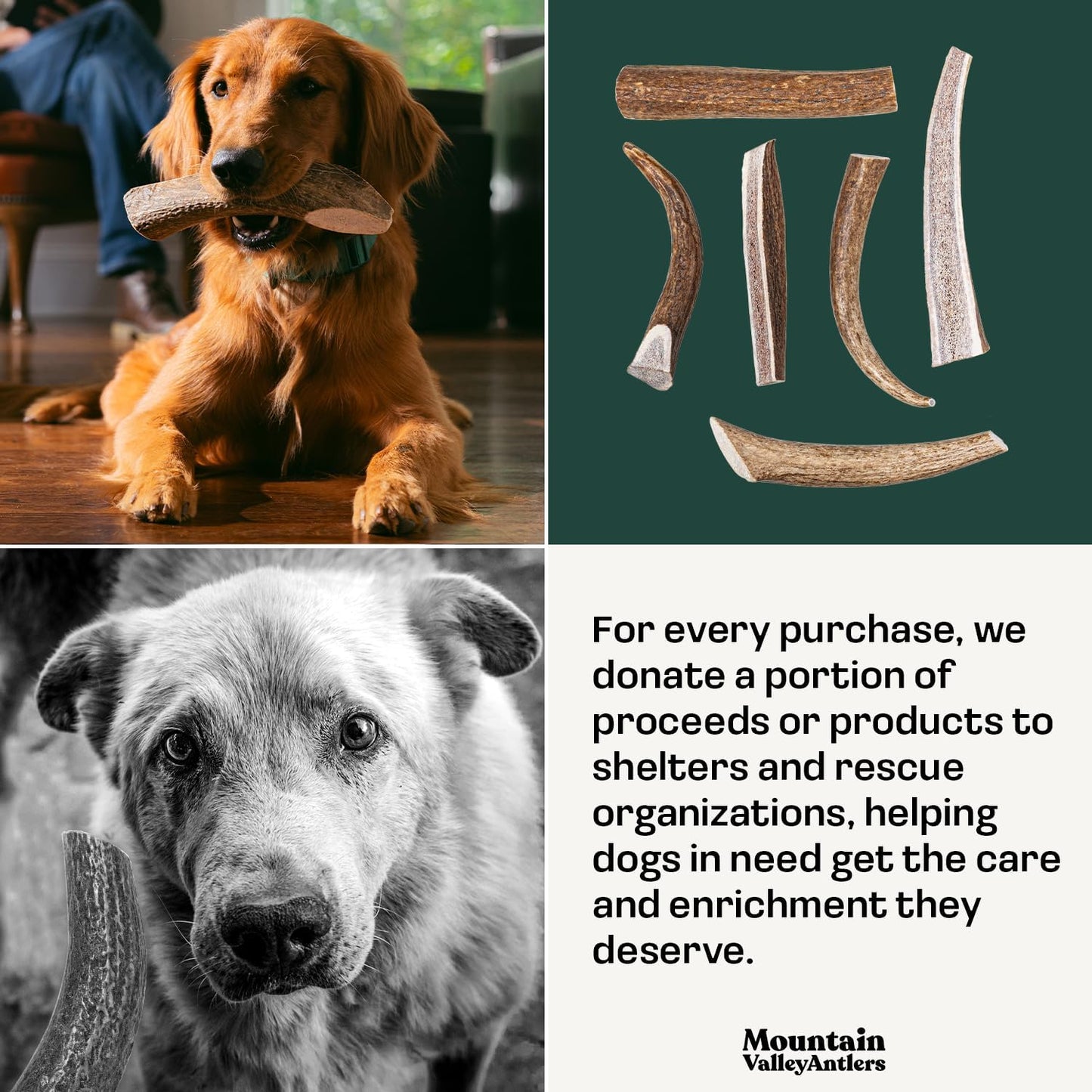 Mountain Valley Mixed Species Antlers for Dogs - 100% Natural & Organic Chew for Aggressive Chewers, No Odor, No Mess, Long Lasting - Wild-Foraged Naturally Shed Antler in USA - Grade A Pack (1 LB)