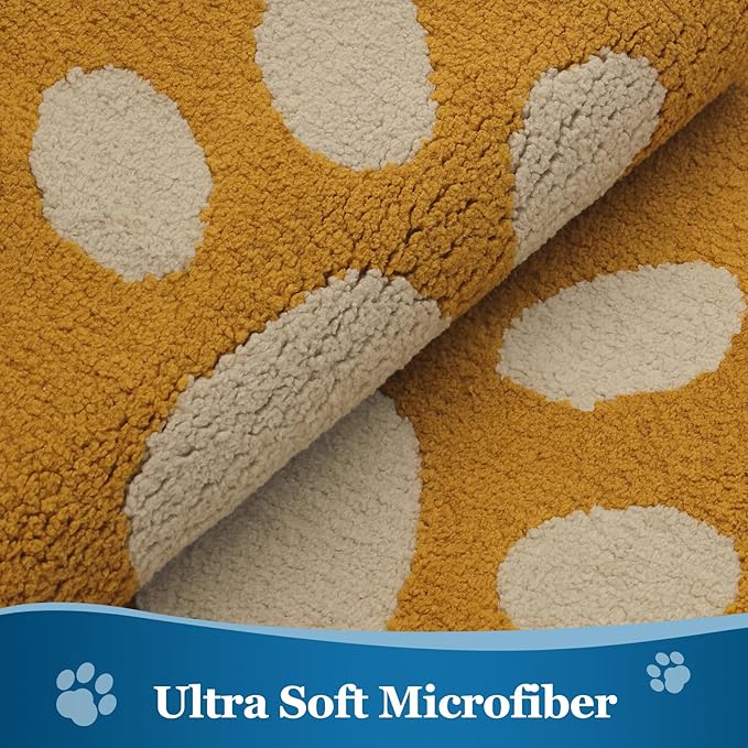 Buganda Dog Door Mat for Muddy Paws, Absorbent Dirt Trapper Washable Indoor Doormats, Non Slip Low-Profile Mud Mat for Dogs, Front Entrance Doormat for Inside Floor (36x24 Inches, Yellow)