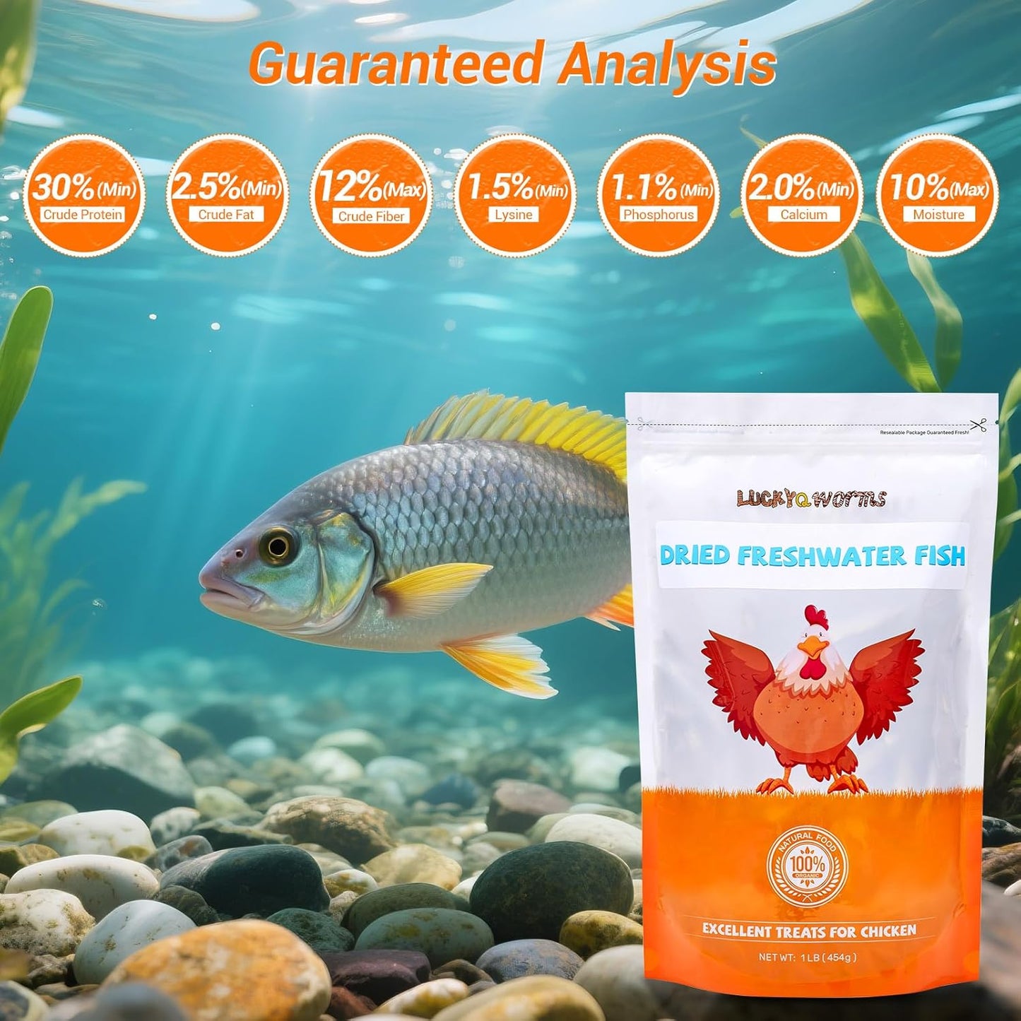 Dried Freshwater Fish, 1 Lbs Resealable Bag - Natural High-Protein Food for Turtles, Reptiles, Large Tropical Fish, Cats, Small Pets and Chicken - Crude Protein 30% Min