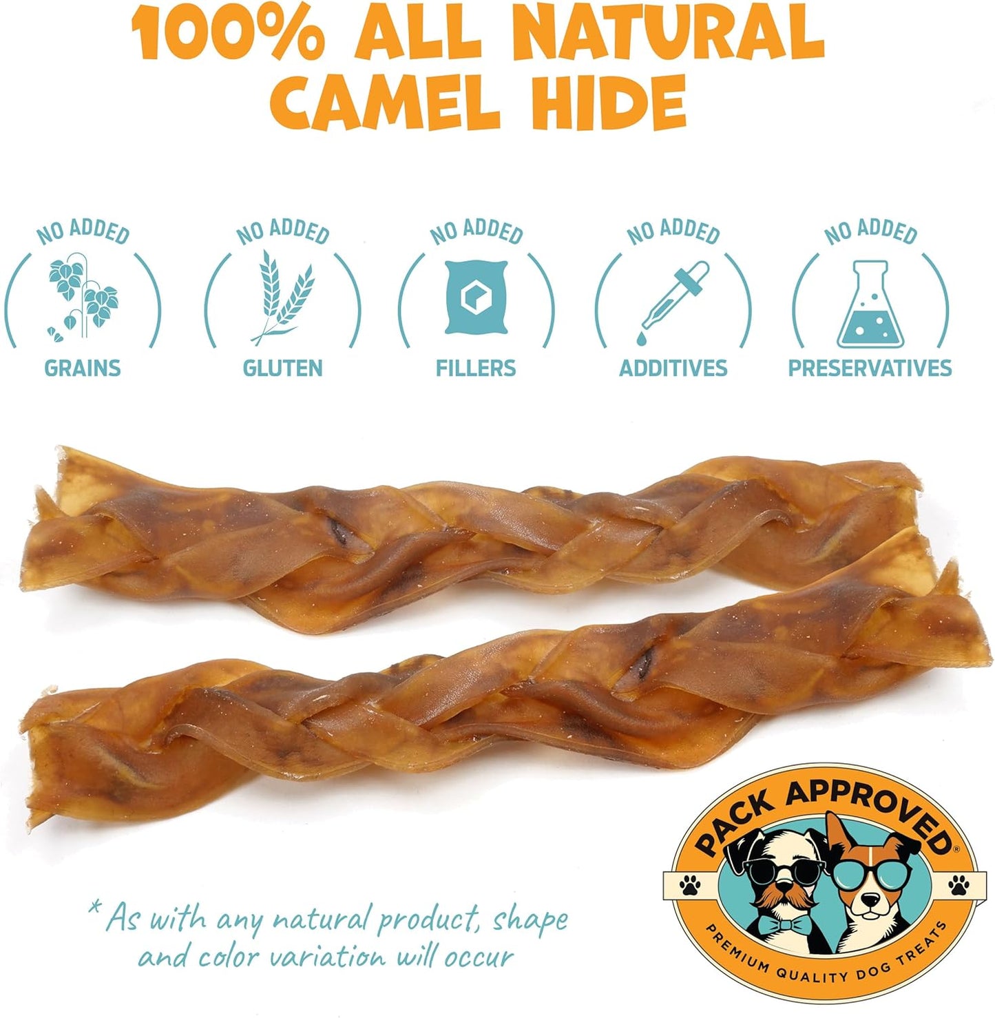 6" Braided Camel Sticks - Long Lasting Dog Chews for Aggressive Chewers - Rawhide Alternative, Grain Free, One Ingredient Treats - Great for Dog Dental Care - (10 Pack)