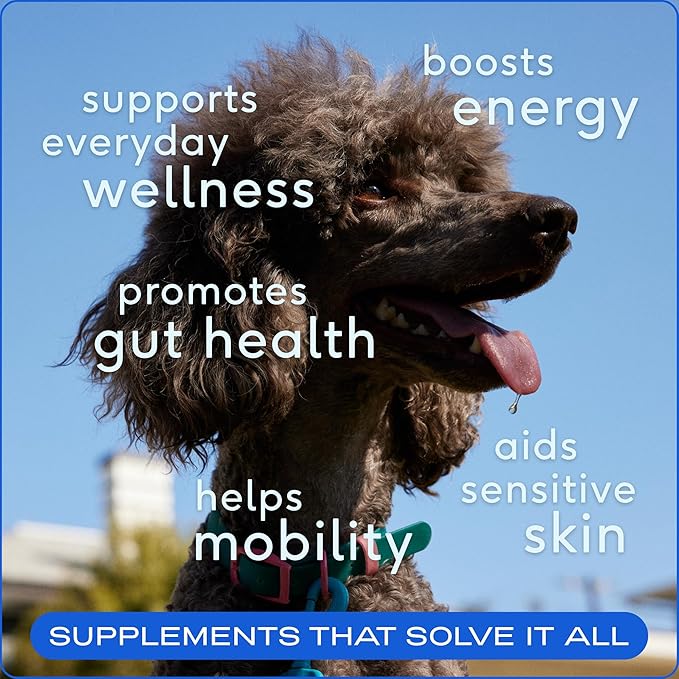 Native Pet Pack Leaders Bundle - Daily Multivitamin (60 Scoops) & Omega Oil for Dogs (8 Oz.) - Omega 3 Fish Oil for Healthy Skin, Shiny Coat, & Strong Joints & Daily Multivitamin for Dogs