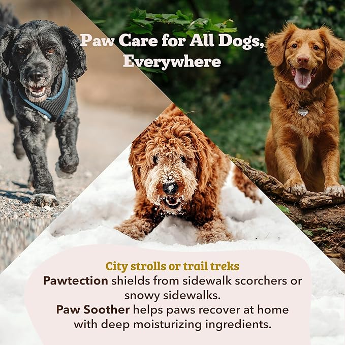 Natural Dog Company PawTection Balm 2 oz Tin – Wax-Based Paw Protector Stick with Shea Butter & Calendula – Shields Paws from Snow, Ice, Salt, Hot Pavement & Rough Terrain – Lick-Safe, All Breeds