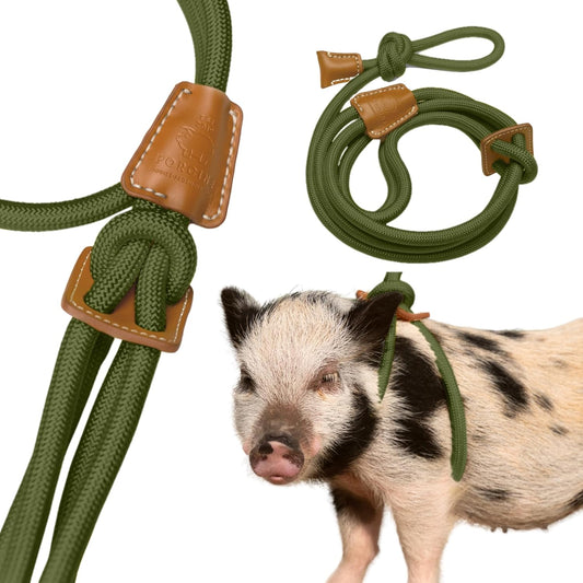 Mini Pig Harness & Leash (S/M) - Fully Adjustable, Infinity Style Lead, Step-in Harness, Potbelly Supplies, All-in-One - Ideal for Small & Medium Pet Pigs (Small, Olive Green)