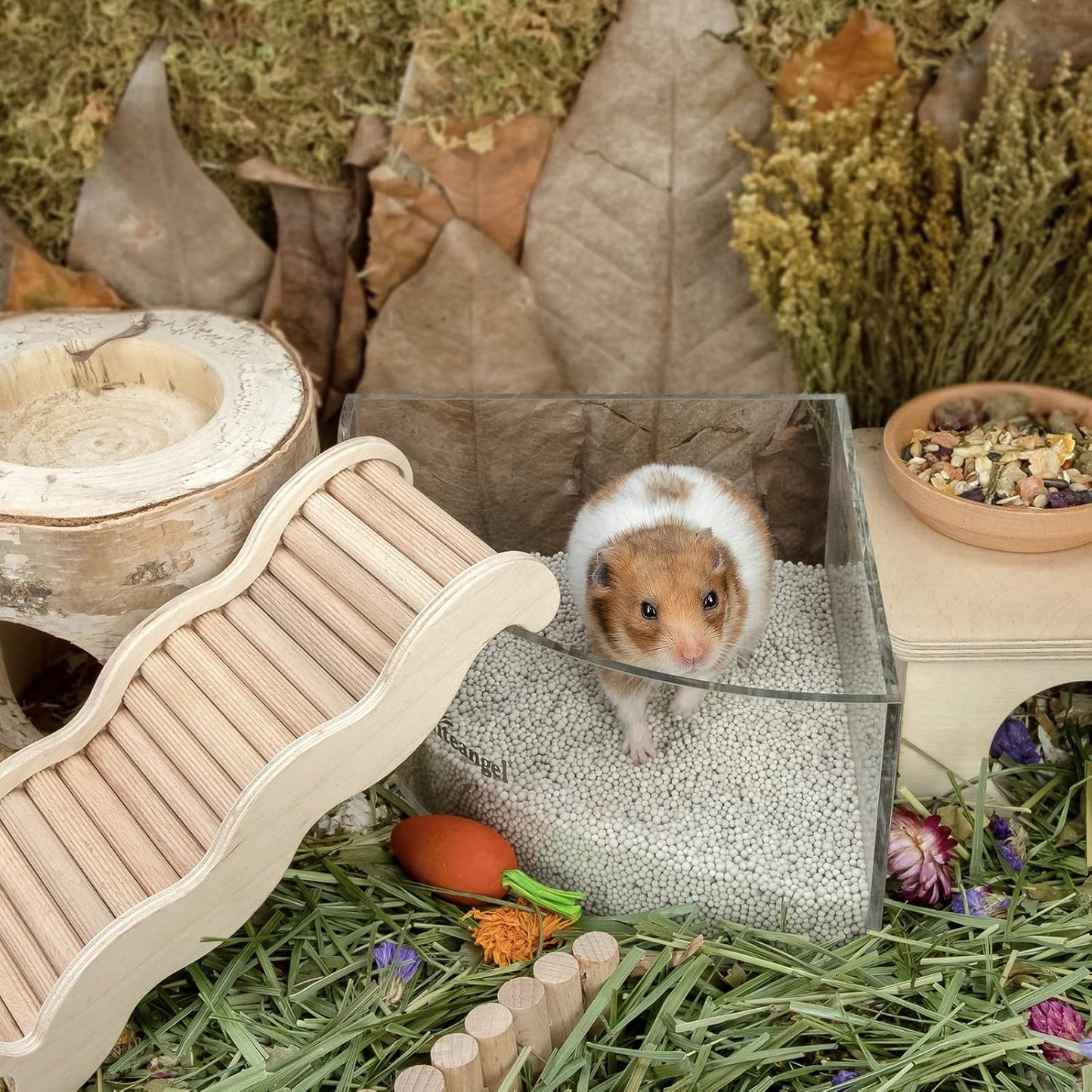 Niteangel Training Litter Potty Sand - Hamster Sand Bath for Syrian Dwarf Hamsters Gerbils Mice Lemming Degus or Other Small-Sized Pets (1.4 L x 2 - Purple Label)