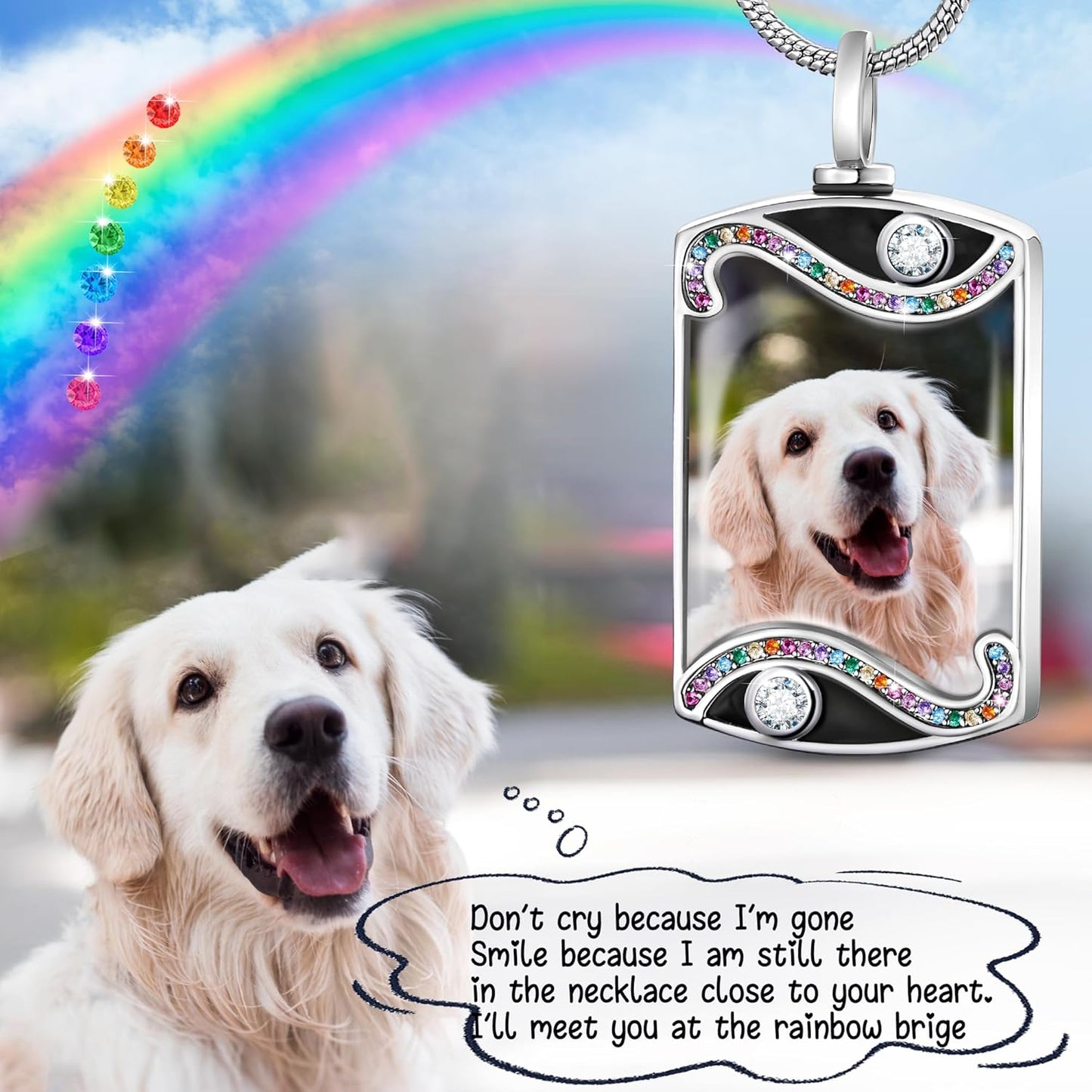 Fanery Sue Personalized Pet Ashes Necklace for Dog Cat Custom Photo&Text Pet Loss Sympathy Gift Cremation Jewelry