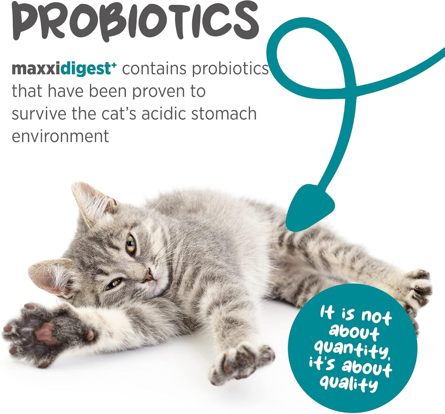 maxxipaws maxxidigest+ Prebiotic & Probiotic for Cats 7oz | Cat Probiotic Powder with Advanced Digestive Enzymes for Gut Health & Immunity | Supports Digestion, Food Sensitivities & Itchy Skin