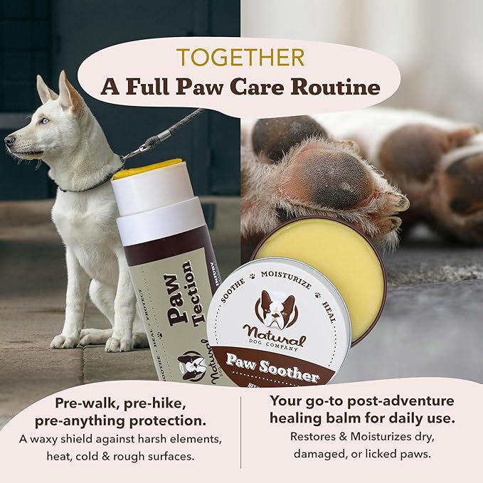 Natural Dog Company PawTection Balm 2 oz Tin – Wax-Based Paw Protector Stick with Shea Butter & Calendula – Shields Paws from Snow, Ice, Salt, Hot Pavement & Rough Terrain – Lick-Safe, All Breeds