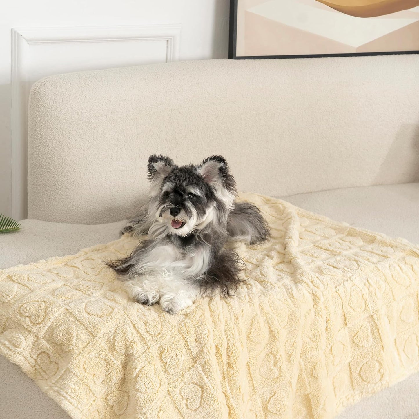 gogobunny Calming Plush Dog Cat Blanket 300GSM Coral Fleece, Ultra-Soft Machine Washable Pet Bedding for Small Medium Dogs Cats Puppies Kittens (Beige, 30x40)