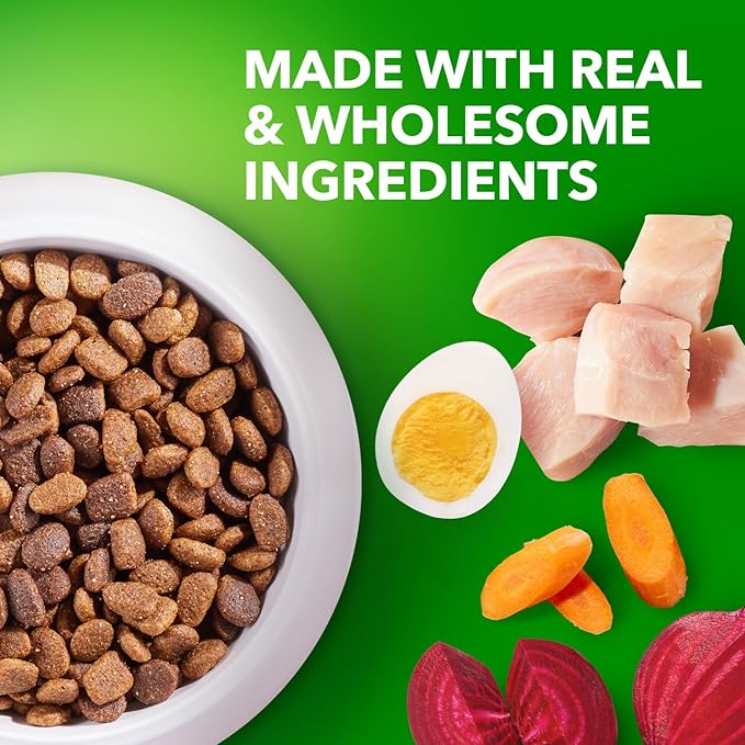 IAMS Proactive Health Large Breed Puppy Food with Real Chicken, 15 lb. Bag