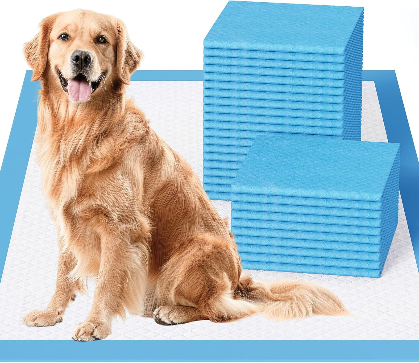 JollyMate Dog Pee Pads Extra Large 30"x36", X-Large Puppy Training Pads with Adhesive Tabs, 6 Layers Thick, Super Absorbent, Leak-Proof, Quick-Dry, Potty Pads for Dogs and Puppies (30, 30*36IN)