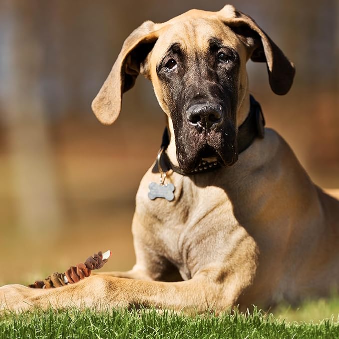 Good 'n' Fun Triple Flavor Colossal Kabobs, 3 Count, Treat Extra-Large Dogs to Long-Lasting Rawhide Chews