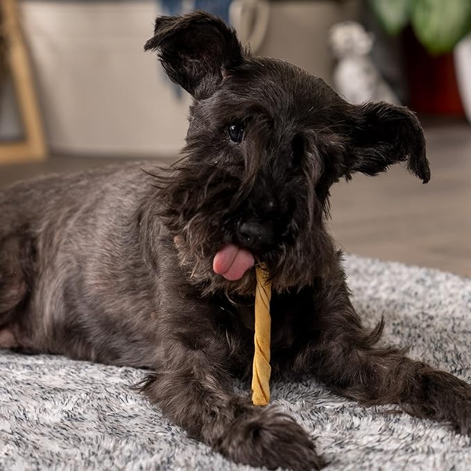 Pet Factory American Beefhide 5" Twist Sticks Dog Chew Treats - Chicken Flavor, 1 lb