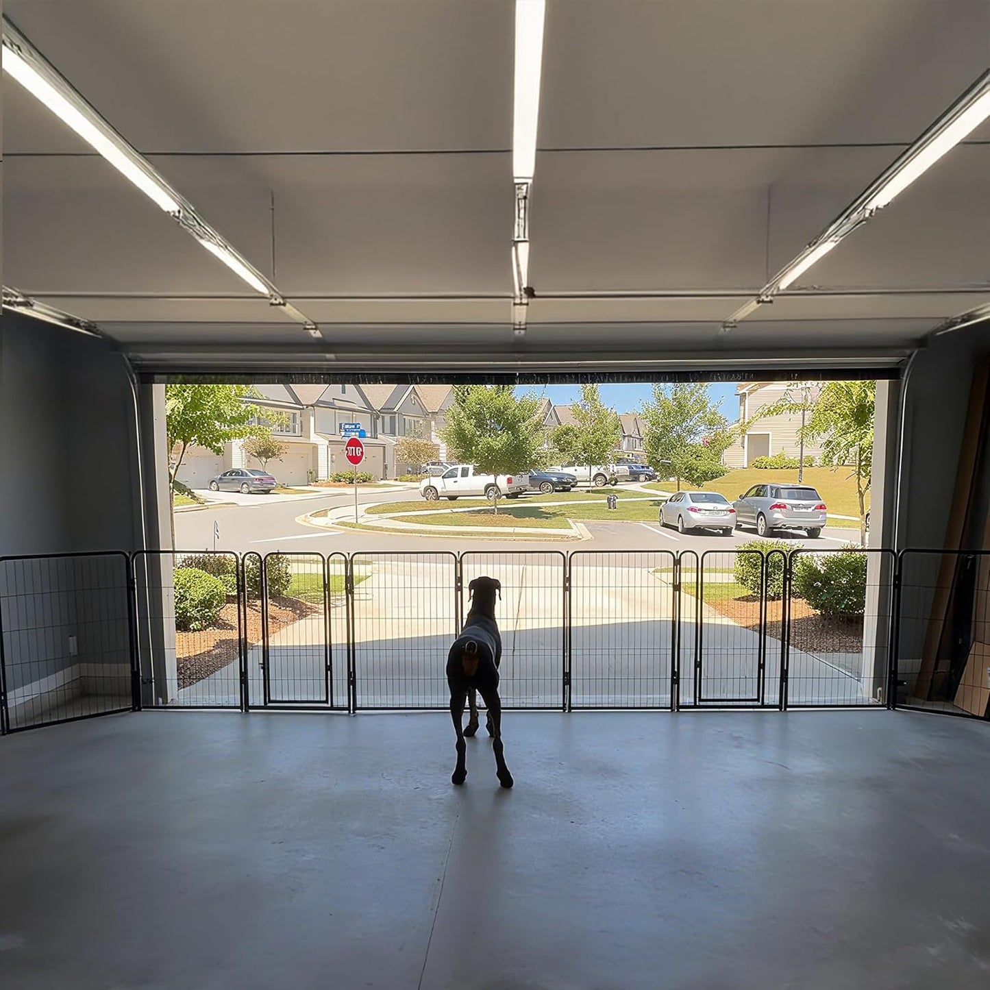 FXW Dog Gate Extra Wide Designed for Indoor Use, Adjustable Width Up to 219-inch Wide (40" H 8 Wire Panels for Medium and Large Dogs), Black