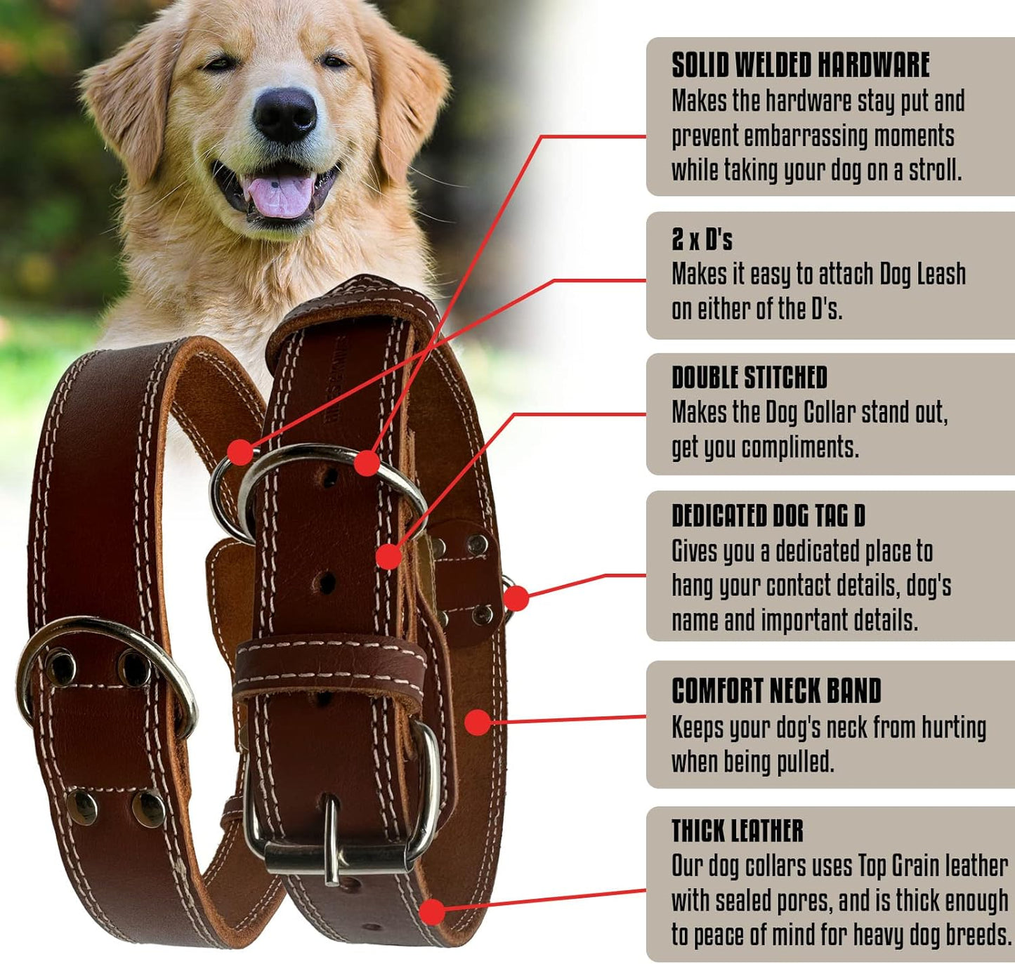 Hides & Knives Leather Dog Collar with Reinforced Hardware, Heavy Duty Dog Collars for All Breeds, Made of Top Grain Genuine Leather That is Soft & Durable (Brown, MD)