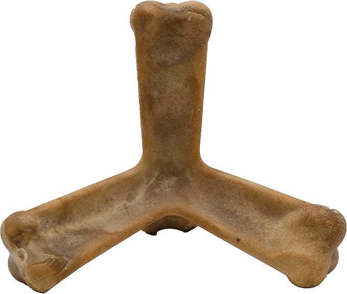 N-Bone Quado Interactive Chew, Ginormous Peanut Flavor (1 Pack), Large