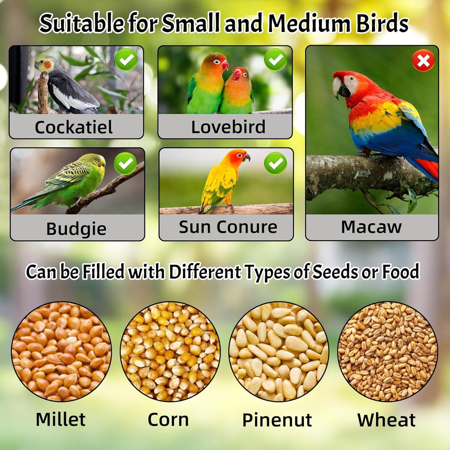 Rypet No Mess Automatic Bird Feeder for Cage,Transparent Acrylic Parrot Seed Feeders,Food Container for Cage,Parrot Feeder Cage Accessories for Small and Medium Lovebirds Parakeets Cockatiel Finch