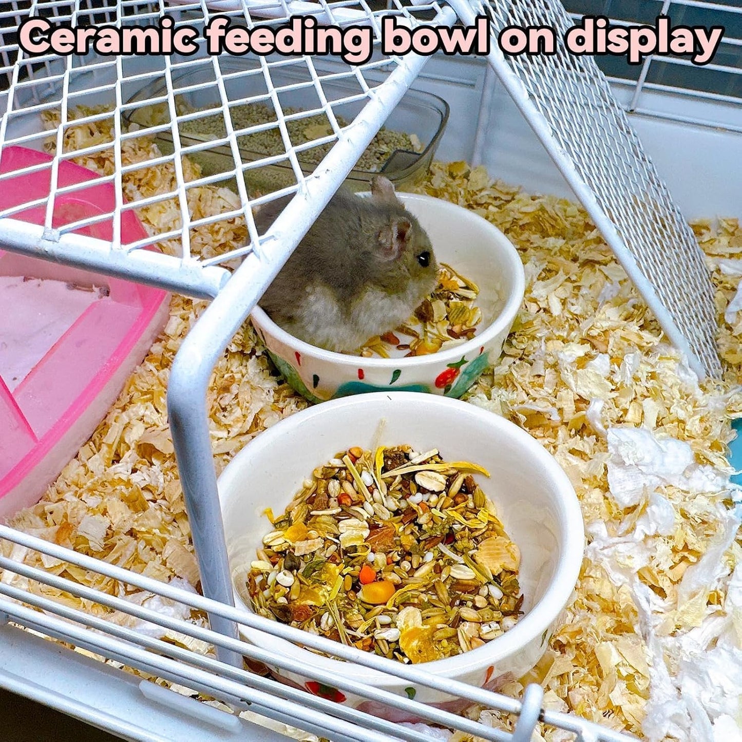 2 Pack Hamster Food Bowl Small Animals Ceramic Food Water Bowl Prevent Tipping Moving for Gerbil Chinchilla Hedgehog Rat (Color: Purple + Blue)