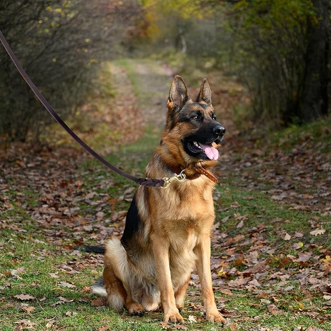 Genuine Leather Dog Leash - Heavy Duty Dog Training Leashes for Large Breed Dogs and Medium Dogs - 4FT / 5FT / 6FT Long with Color Black and Brown