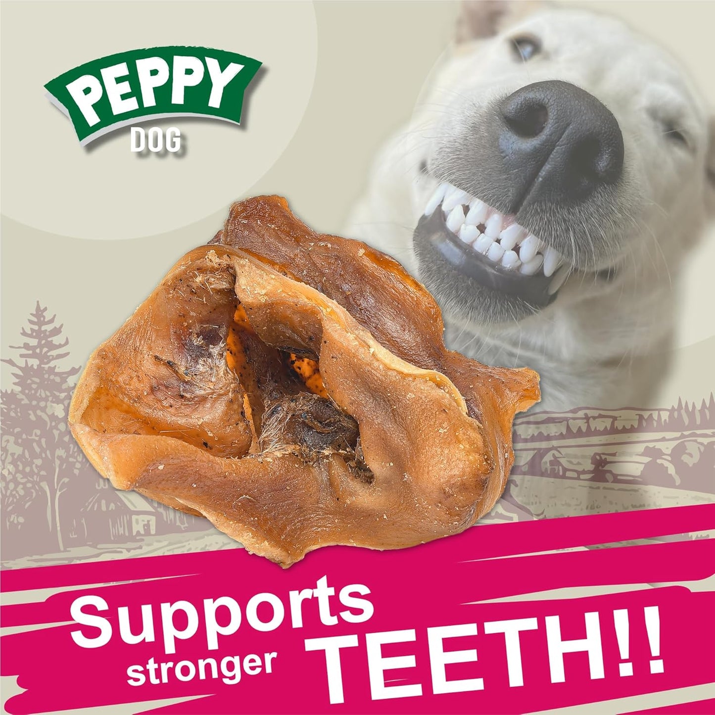 All Natural Pig Ear Slices Dog Treats (7oz) | Protein-Packed | No Preservatives | Promotes Dental Health | Hypoallergenic | Reduces Plaque and Tartar | Perfect Chewiness (7 oz (Pack of 1))