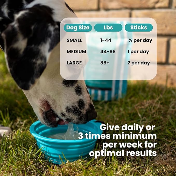 Advanced Joint & Hydration Supplement for Dogs – Vet-Approved - Soluble Powder with Collagen, Electrolytes, 7 Active Nutrients & Vitamins – Chicken Broth Flavor (Up to 8 Weeks Supply)