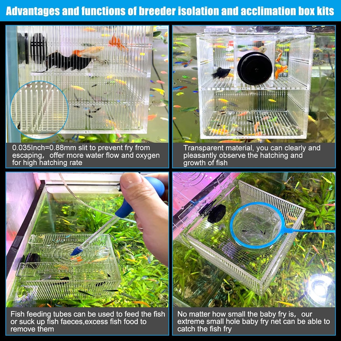 Magnetic Fish Breeder Box for Isolation Boxes Acclimation Hatchery breeding Incubator for Guppy Baby Betta Shrimp Saltwater Clownfish Coral Anemones Aggressive or Injured Fishes