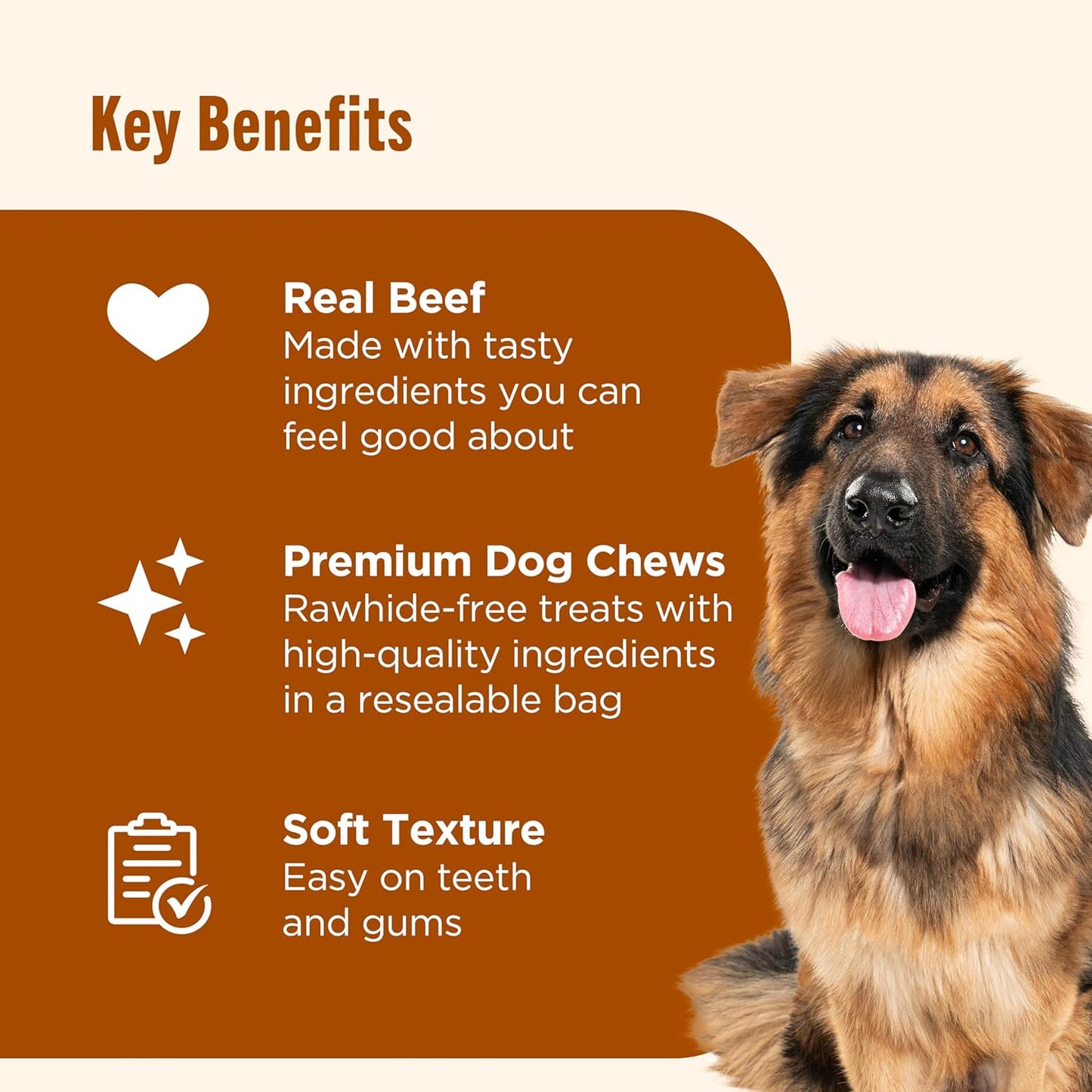 Nutrish Soup Bones Premium Dog Chews with Real Beef and Barley, 6 Chews (Rachael Ray)