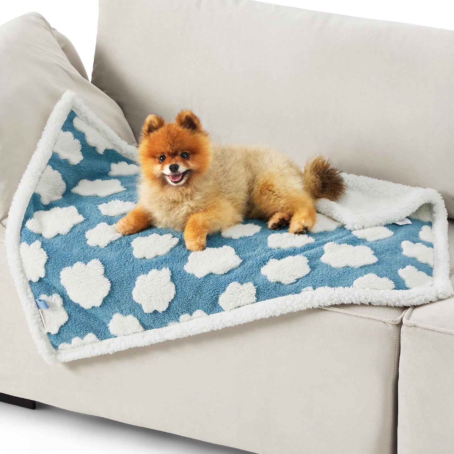 LE SURE Waterproof Puppy Blanket for Small Dogs - Washable Double Sided Dog Blankets with Warm Jacquard Shag and Soft Sherpa Fleece, Pet Cat Blanket for Couch Protection, 3D Textured Cloud, Blue