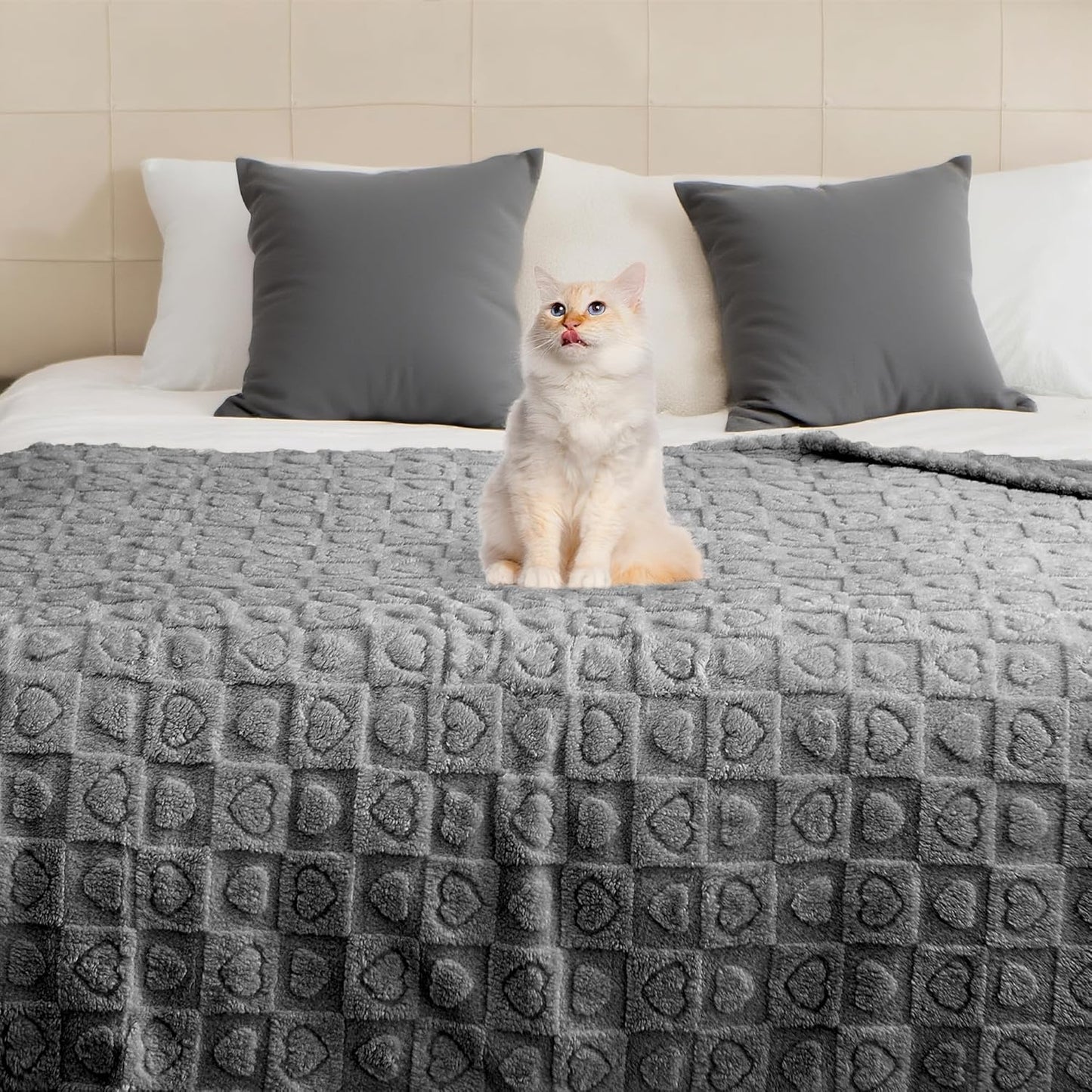 gogobunny Calming Plush Dog Cat Blanket 300GSM Coral Fleece, Ultra-Soft Machine Washable Pet Bedding for Small Medium Dogs Cats Puppies Kittens (Anthracite, 50x60)