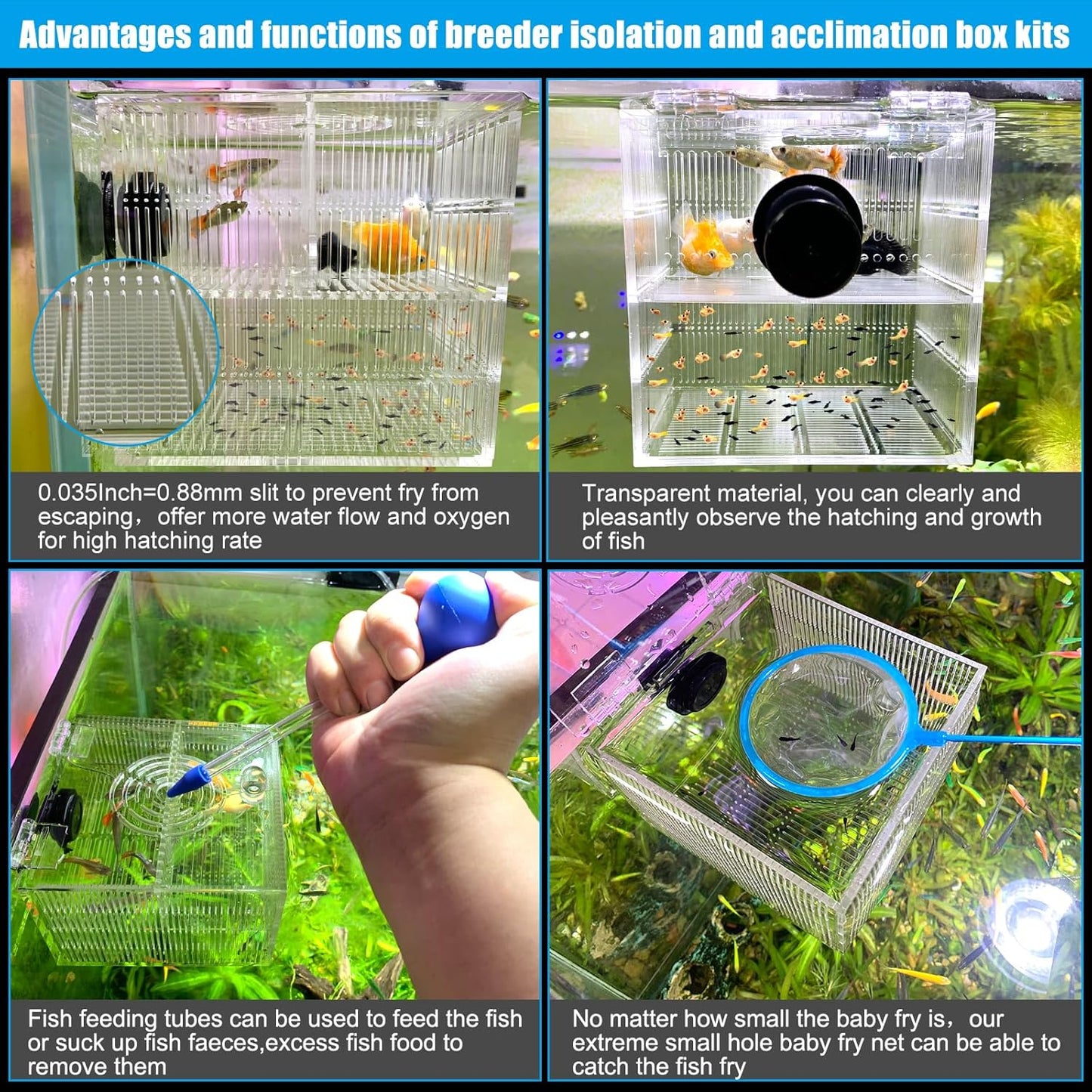 Magnetic Fish Breeder Box for Isolation Boxes (4.71 Inch with 2 Divider（Sealed Bottom Version）)