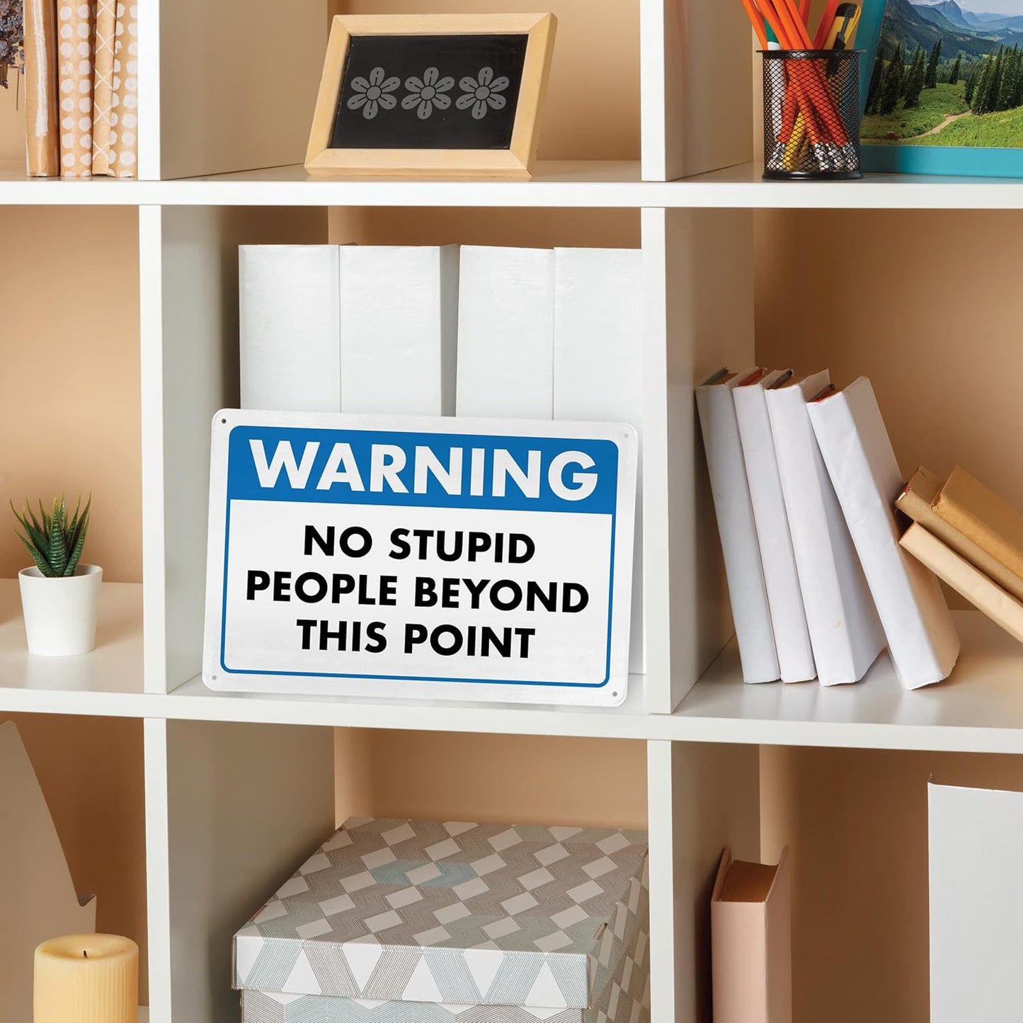 Warning, No Stupid People Beyond This Point - Humorous Metal Sign - 8" x 12" - Funny Garage Sign, Office Wall Decor, Mechanic Gift, Street Sign for Bedroom - ENVISIONED Signage
