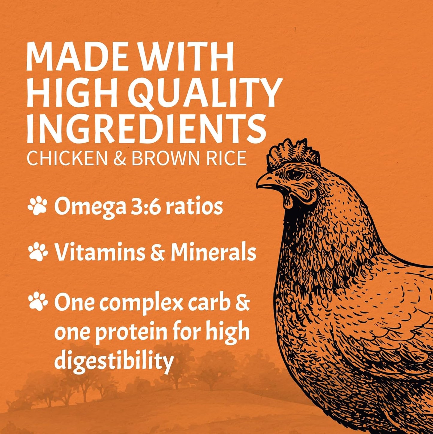 Canine Caviar - Special Needs: Chicken & Brown Rice Alkaline Dry Dog Food, Limited Ingredients, Gluten-Free, Based on Science & Research, Veterinary Alternative Diet (22 Pound Bag)