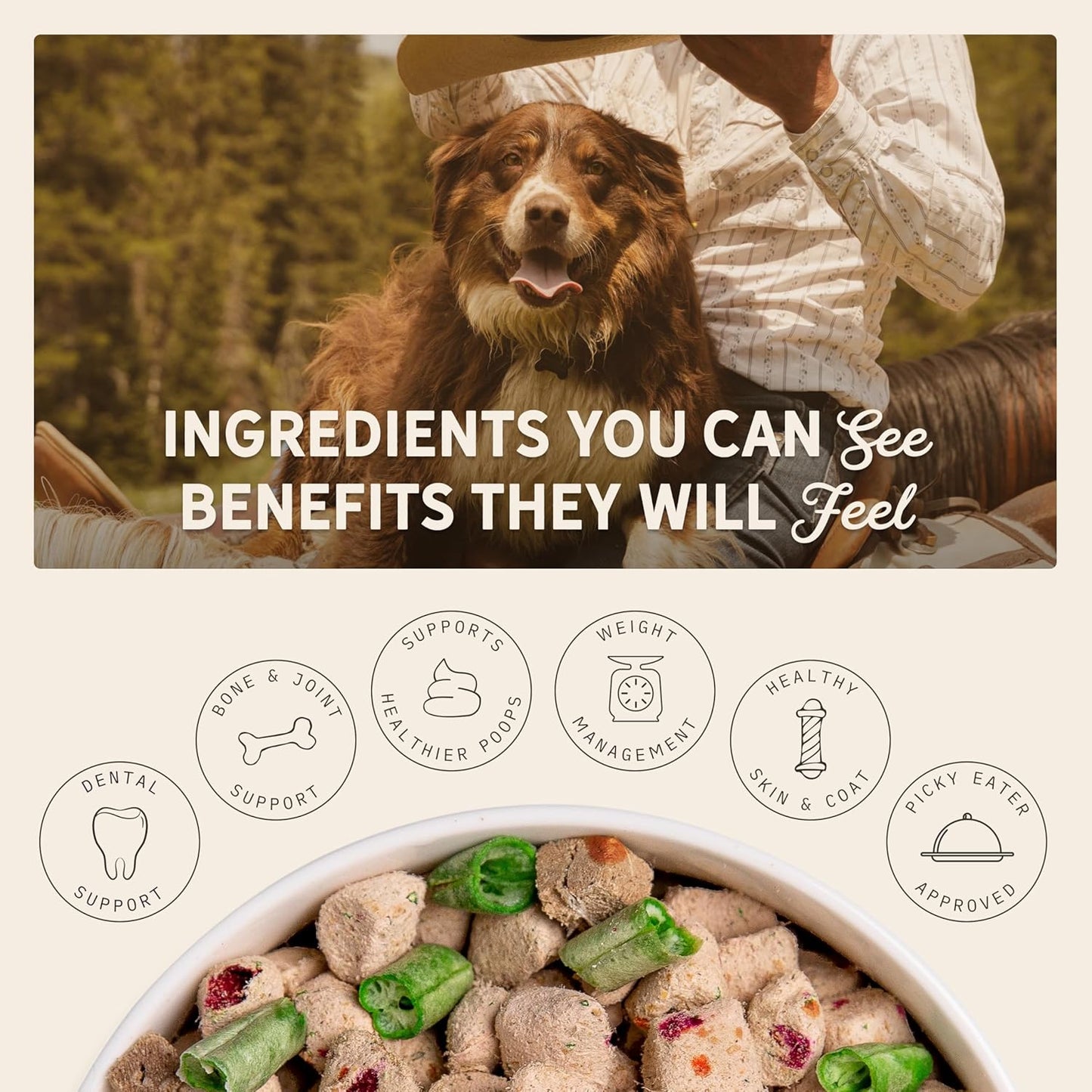 Tally's Ranch Freeze-Dried Raw Beef Dog Food – 2lb Bag – High-Protein, Vet-Formulated, All-Natural, Complete & Balanced – Made in USA – Whole Food Ingredients